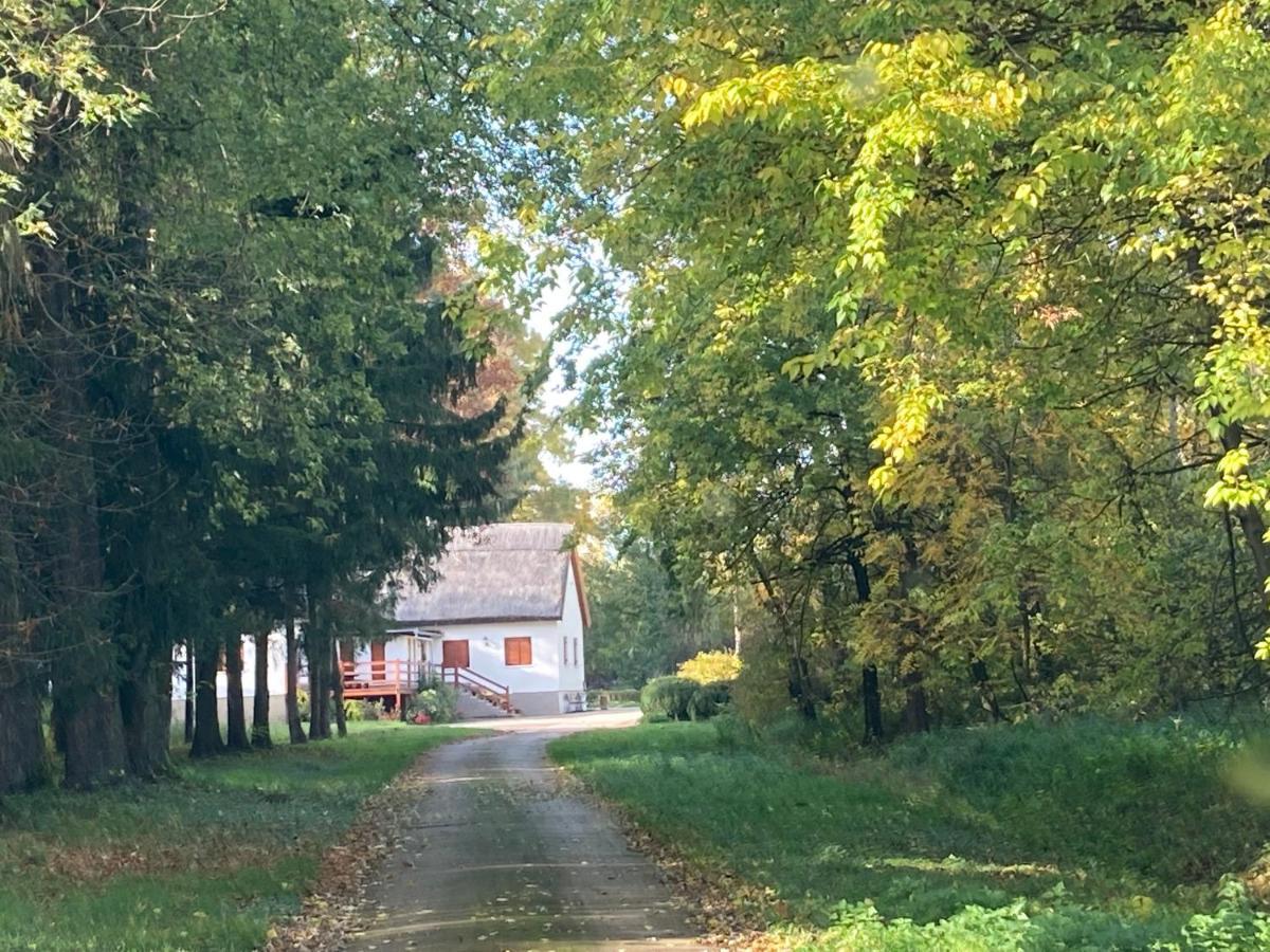 Wildente Vadaszhaz Tamasi Luaran gambar